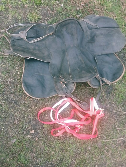 Ер токым елтіріден Седло