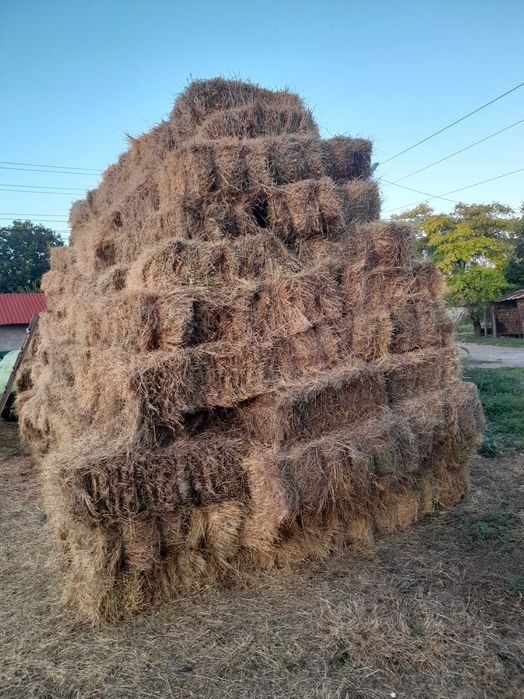 Бали сено продавам