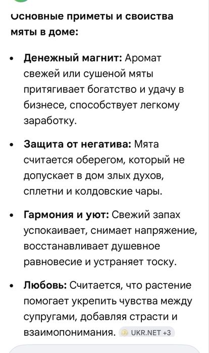Комнатная мята- плекрантус