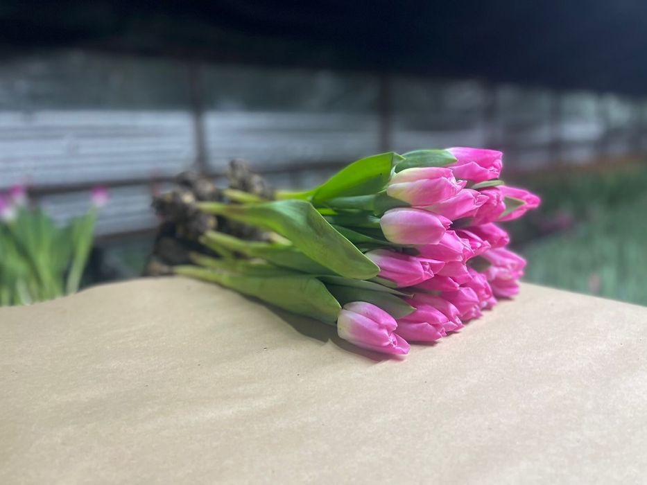 Тюльпаны жезгазган рефрижератор