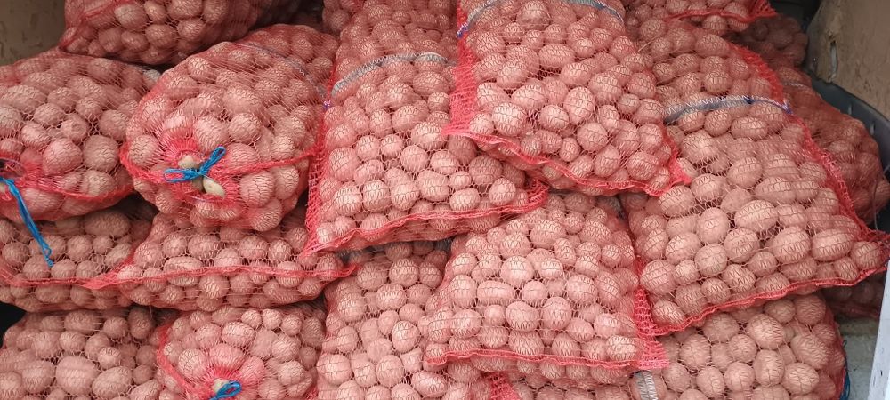 Cartofi mărunți de vânzare