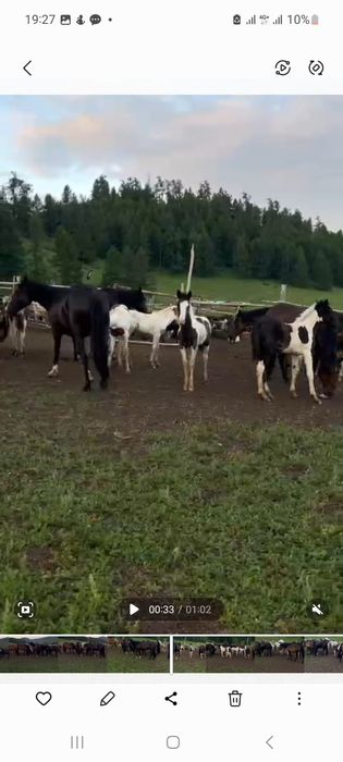 Продам крестьянсеое хозяйство