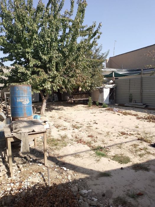 Koʻktere chaxpaleda 3-sutuk yer sotiladi