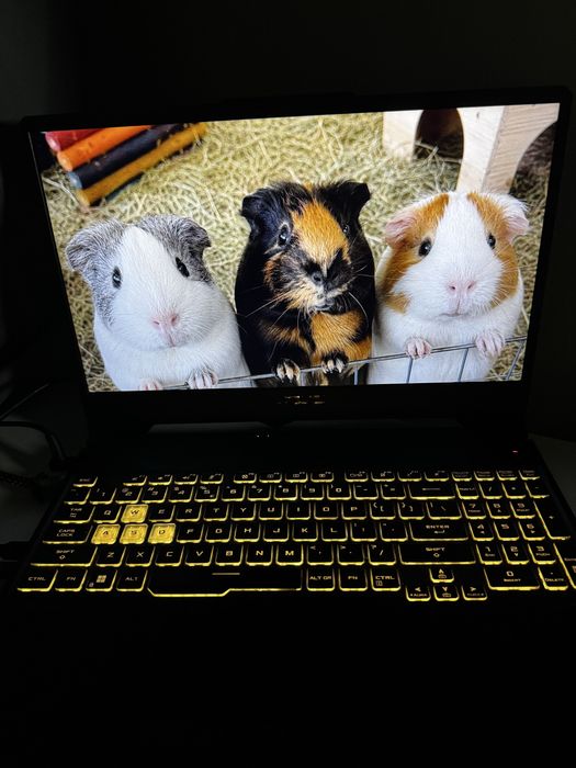 Laptop i5-11400H + RTX 3050 + 144 Hz TUF Gaming F15 FX506HC