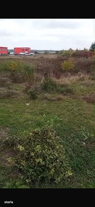 Teren intravilan de vanzare, Calea Lugojului