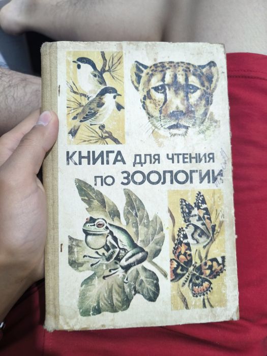 Книга с картинками животных