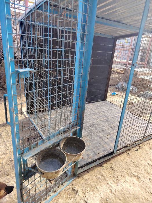 Вольер для сабак