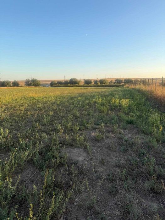 Teren intravilan 4.003 mp Frecatei, Tulcea - drum pe 3 laturi, curent
