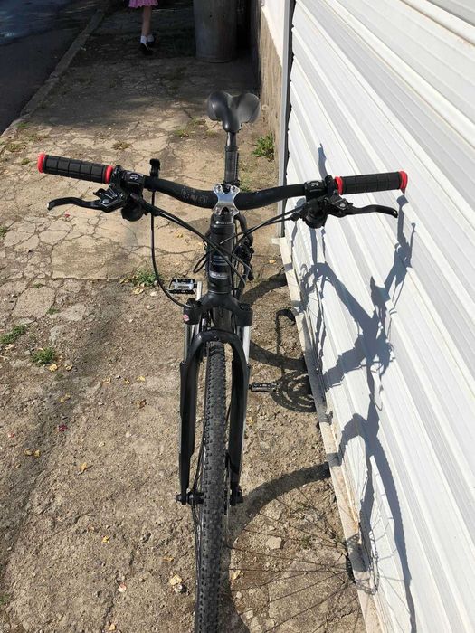 Bulls - 28 цола хибрид