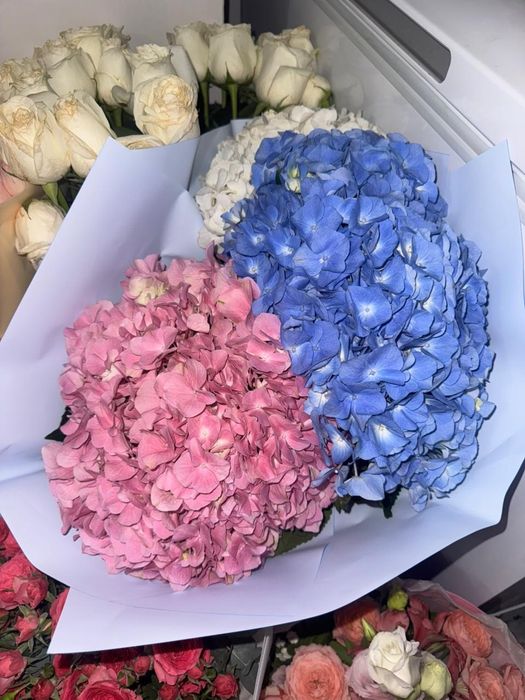 Продам цветы, букет цветов