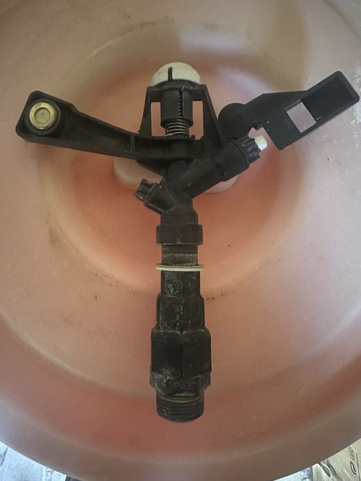 Gazon Palif, sprintir sotiladi