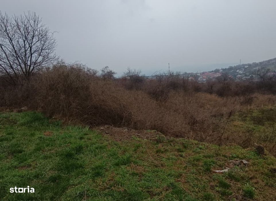 Teren intravilan Tomesti , 11000 metri Cod:161403