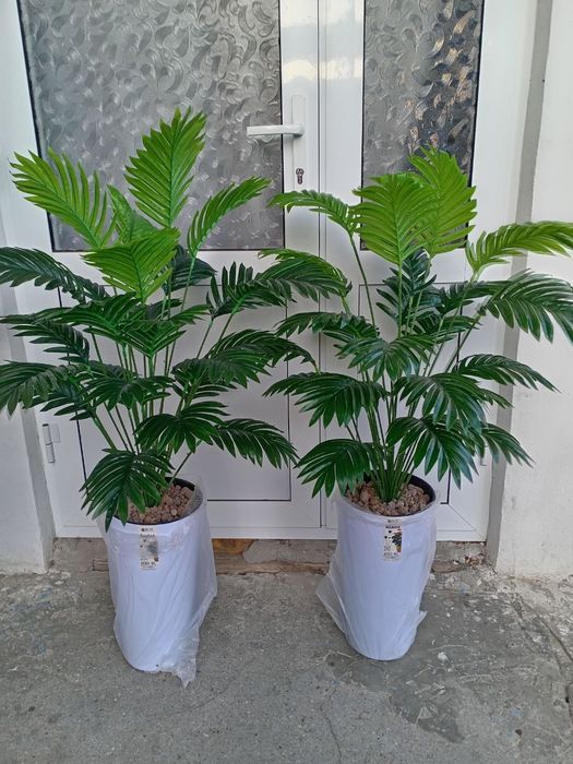 Нархлари 160 мингдан бошлаб. Декоратив суний гуллар. Ассортимент мавжу