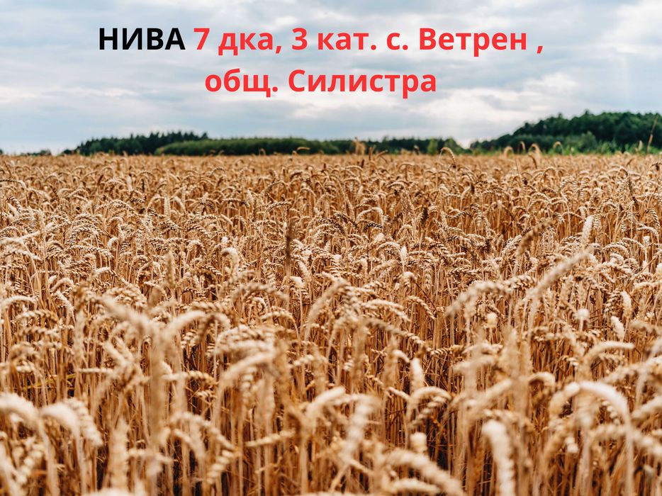 ЕКСКЛУЗИВНО! Нива 7 дка, 3 кат. в м. Царска милост, с. Ветрен – ИЗВЪН НАТУРА 2000