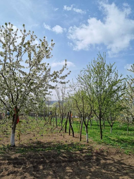 Vand Casa P+M in comuna Rachiti
