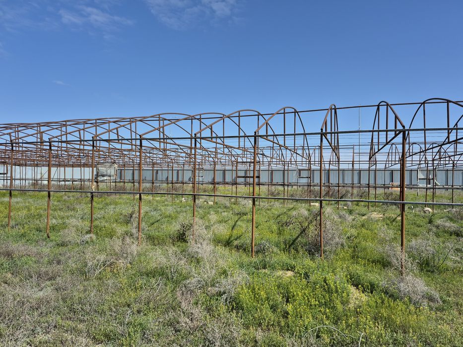 Продаю теплицу 50×8.5