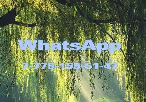 Однокомнатная в аренду