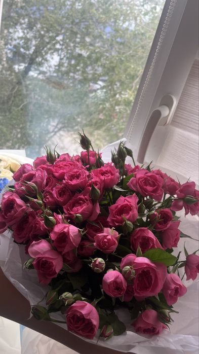 Кустовые розовые розы