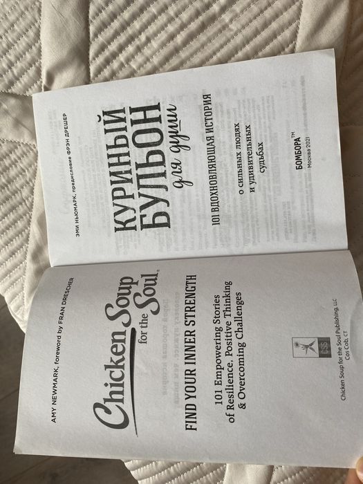 Книга «Куриный Бульон»
