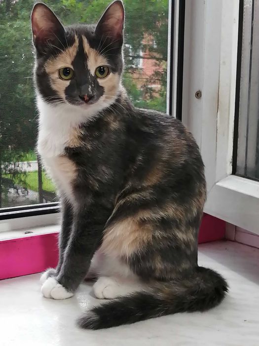 Бабочка, это её имя, уже 6 месяцев девочке.