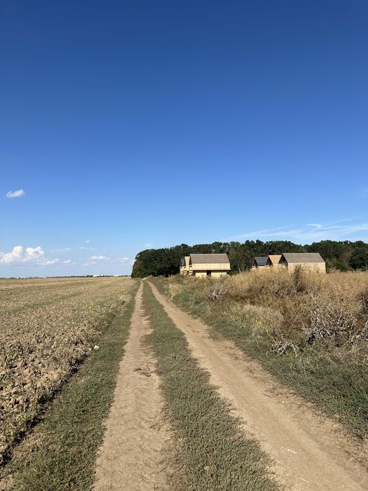 Teren intravilan 9800 mp -Ganeasa ,jud Ilfov