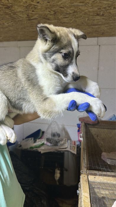 2 парня 3 мес с доставкой