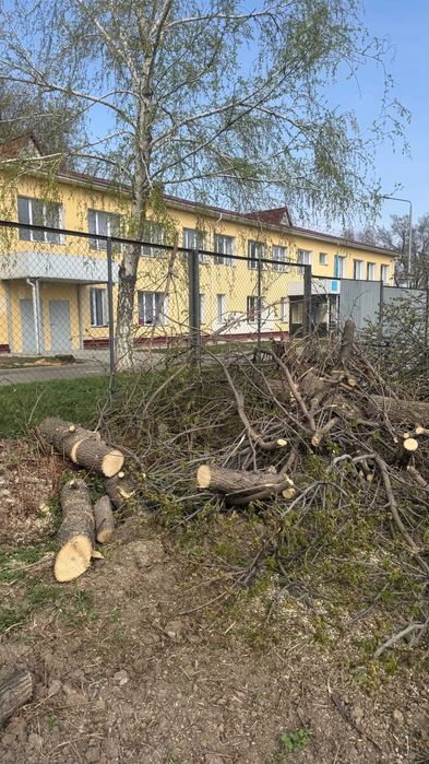 Продам Дрова, самовывоз