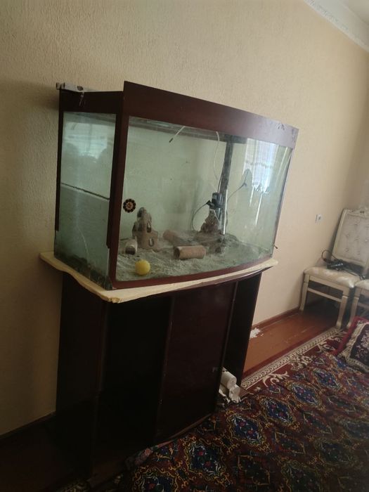 Akvarium, Аквариум  60,120,40