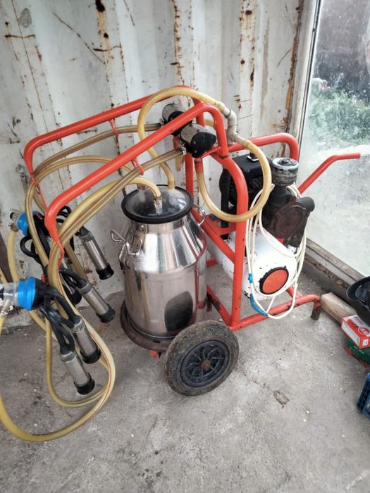 Сиыр саууға арналған апарат