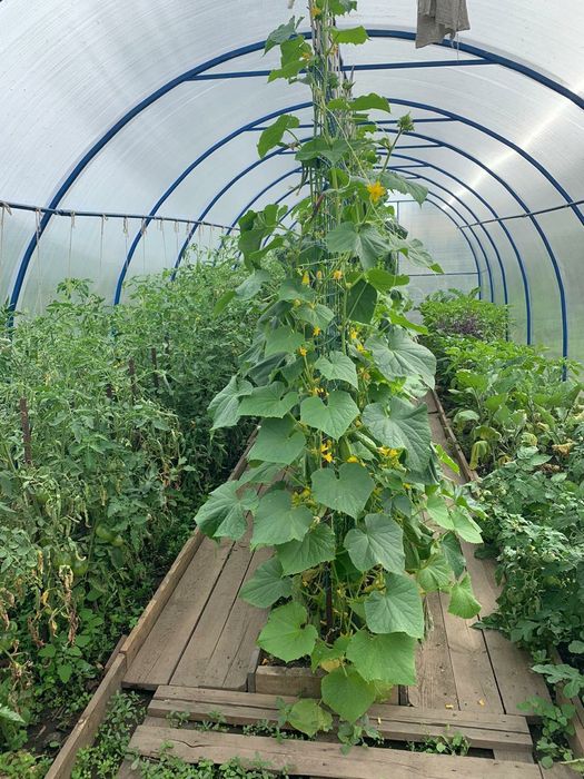 обмен дом на квартиру