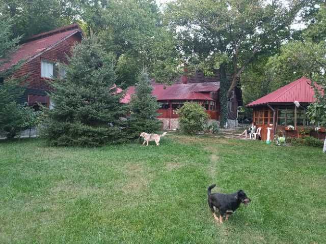 Vand proprietate pe malul raului Teleajen