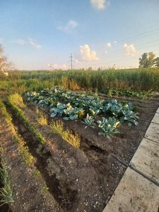 Продам дачу в районе саздинского водохранилища