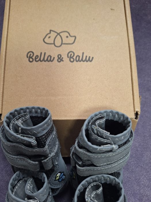 За домашни любимци