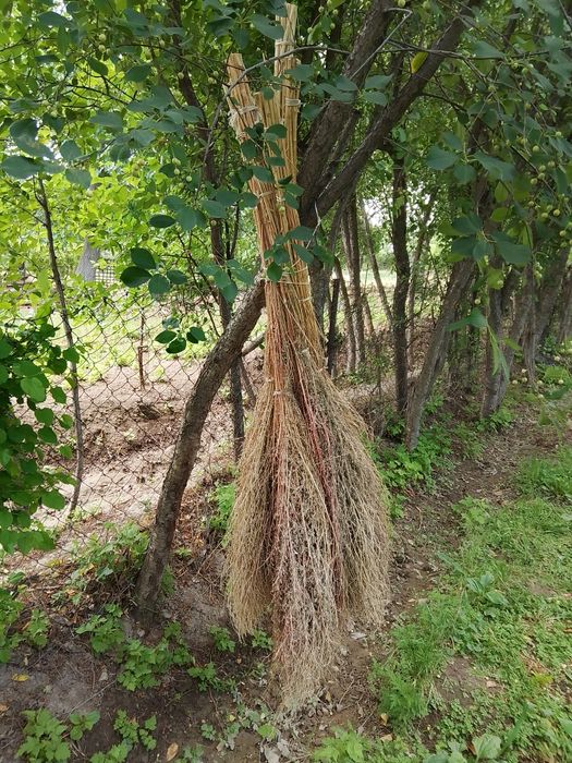 Срочно продам дворовые веники