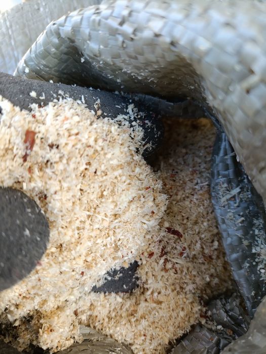 Опилки Қарағай (Сосна)