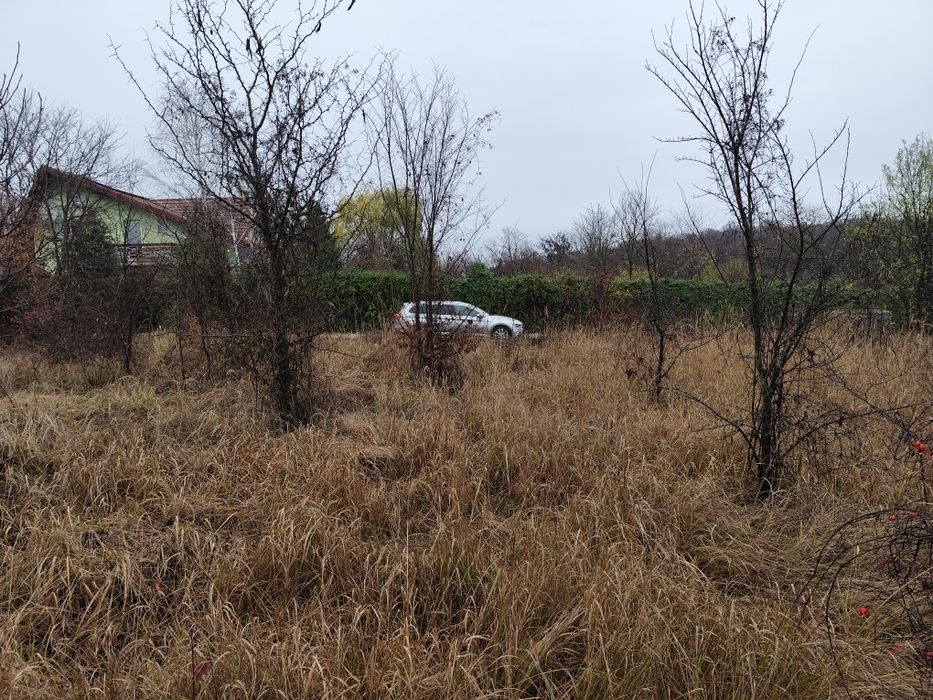 Teren Ciolpani langa lac și pădure Zona Snagov