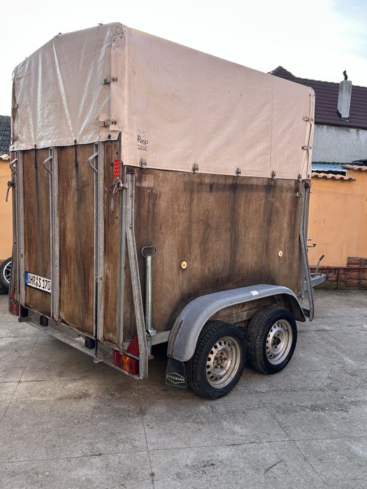 Remorca animale bockmann