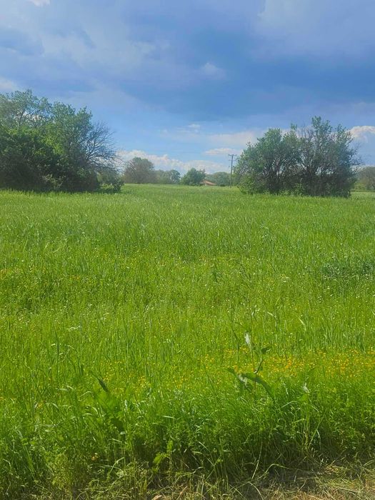 Парцел 1600 кв.м.