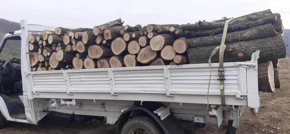 Lemne de foc la 350 lei metru esență tare cu transport gratuit