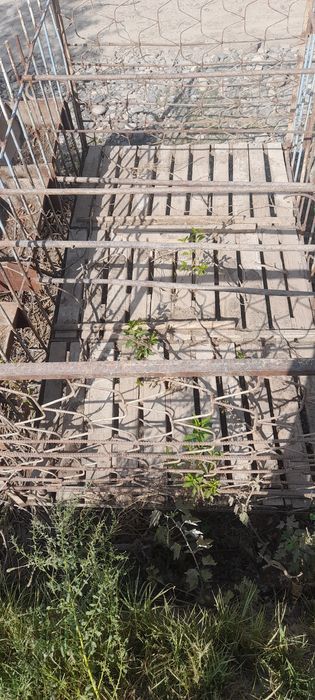 Qo'chqor boqish uchun qafas