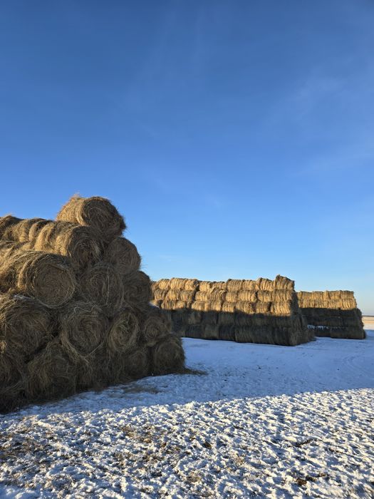 Рулоны пр 110 200 кг