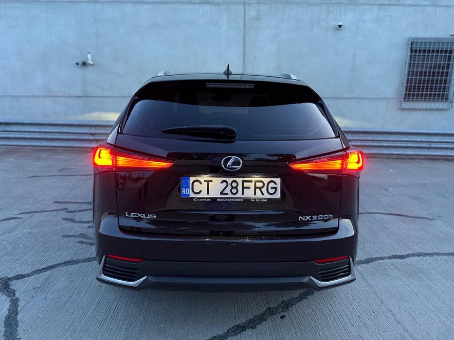 LEXUS NX 2019 — imagine 4