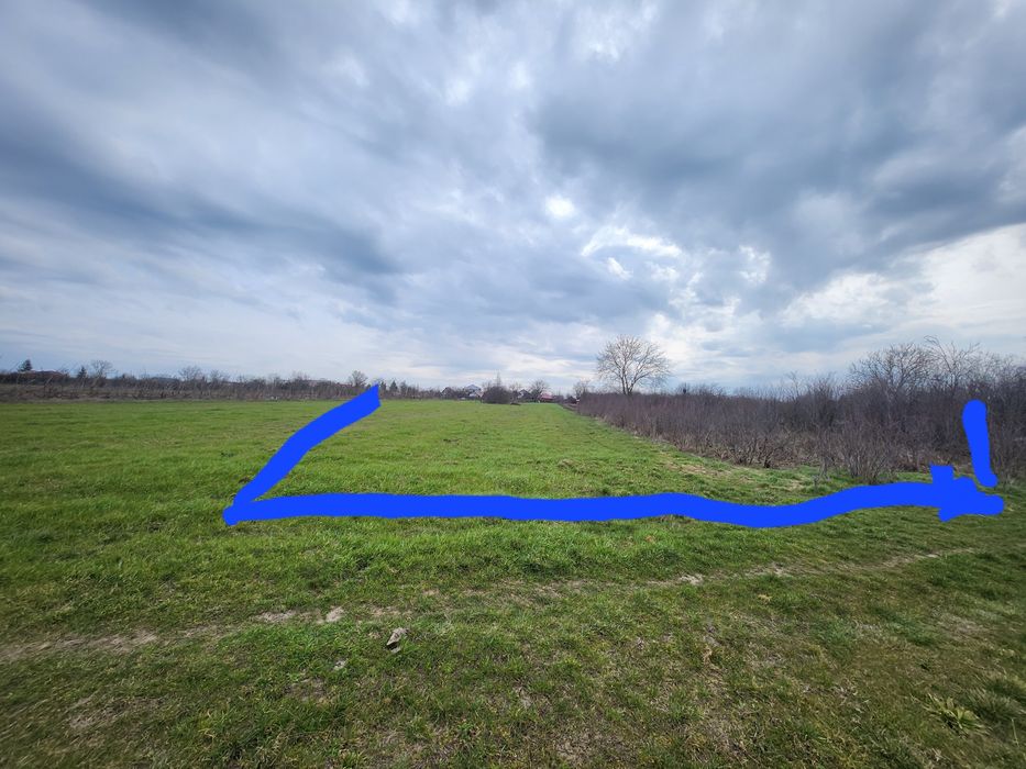 Vând Teren Intravilan, Branistari  1000m2, Deschidere 21,33m