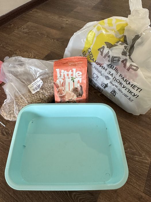 СРОЧНО! Продаю зайчика