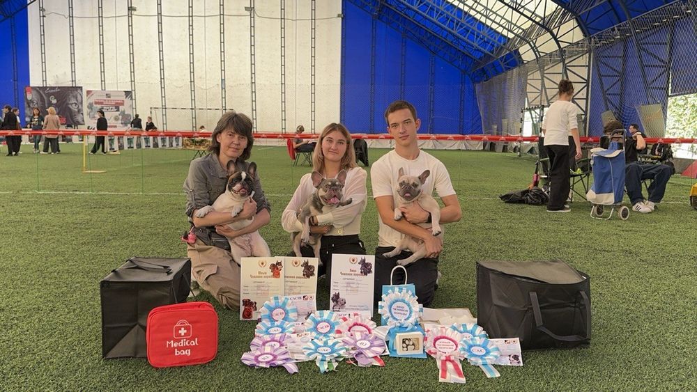 Вязка! Шикарный лиловый мальчик