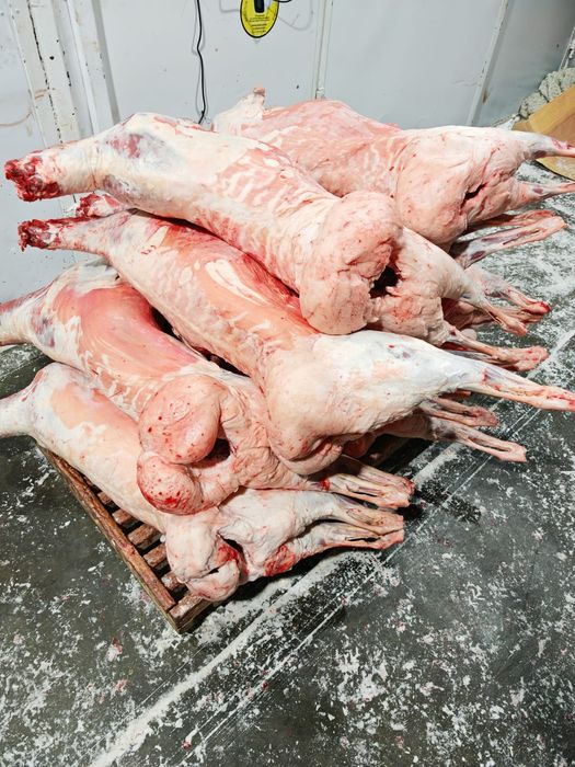 Мясо баранина оптом тушами