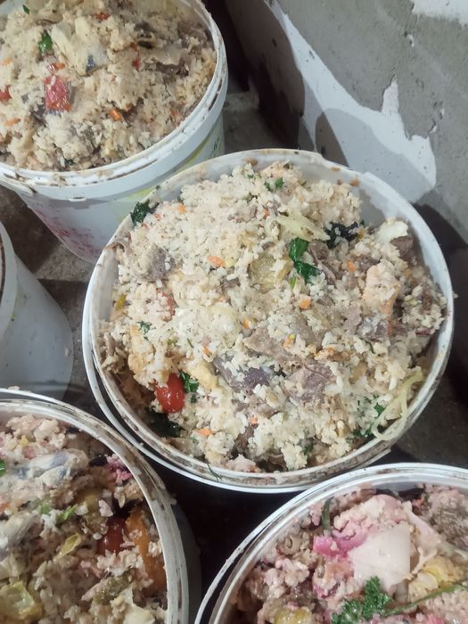 Продажа мясо и сало без гмо