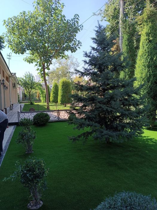 Исскуственный газон