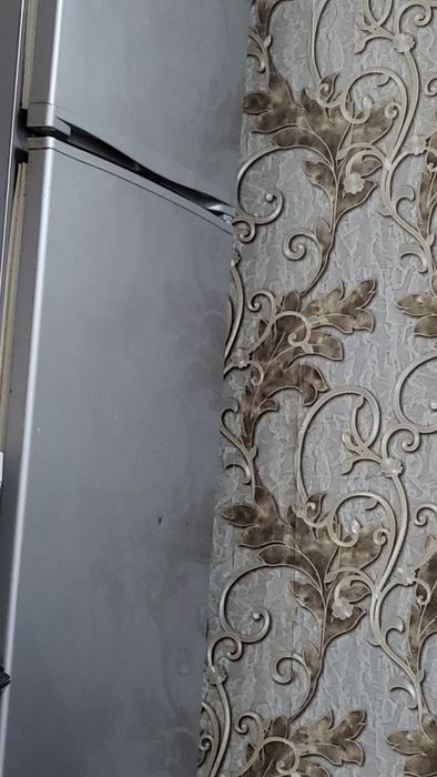 Холодильник зори