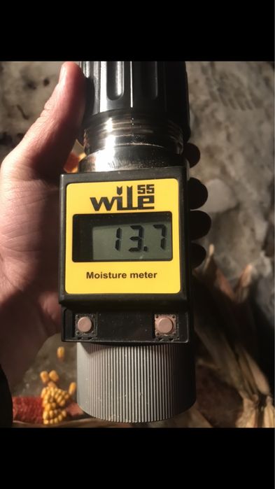 Кукуруза в зерне,сухая в складу